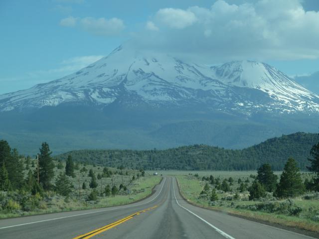 shasta