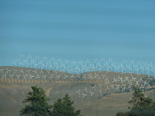 windmills